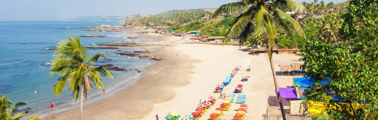 Read more about the article Best of Goa Tour